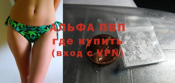 дмт Кодинск