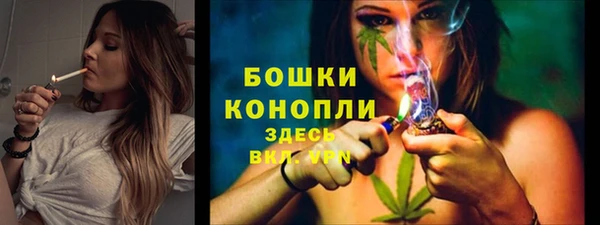 стаф Киреевск