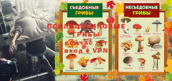 стаф Киреевск