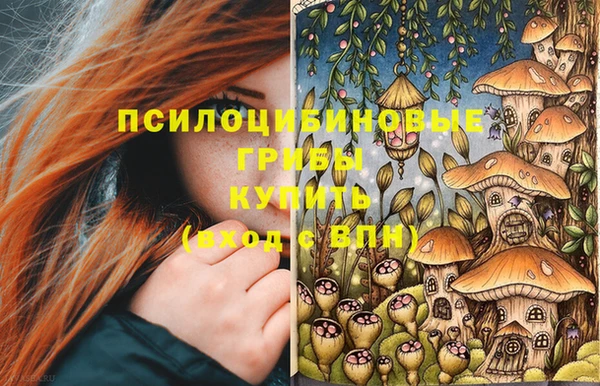 стаф Киреевск